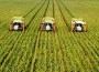Crisi e blocchi trasporti in Italia: Prezzi Cibo +200%