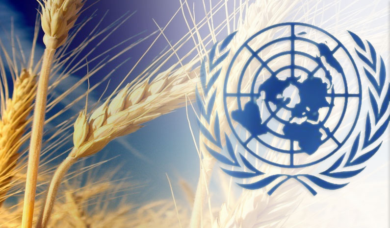 Nazioni Unite e Governance Alimentare Sostenibile